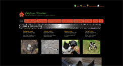 Desktop Screenshot of karelianbeardog.us