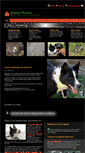 Mobile Screenshot of karelianbeardog.us